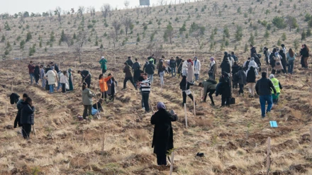 Eğitim Fakültesi öğrencileri fidanları toprakla buluşturdu